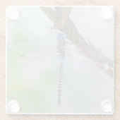 Blauwe darner Dragonfly Glazen Onderzetter (Achterkant)