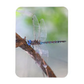 Blauwe darner Dragonfly Magneet (Verticaal)