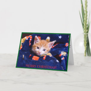 Blauwe Deken Kat Prettig Kerstfeest Oranje Kitten  Feestdagen Kaart