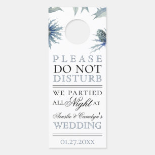 Blauwe distel botanisch