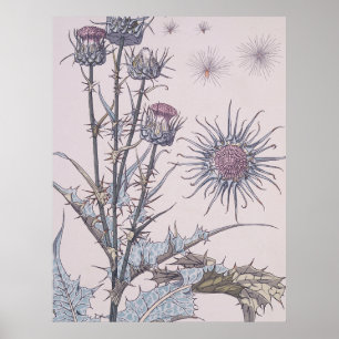blauwe distel poster