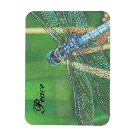 Blauwe Dragonfly kleur potlood kunst op Magnet Magneet