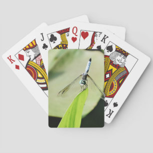 Blauwe Dragonfly op een groen blad Speelkaarten