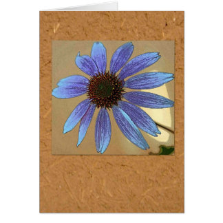 Blauwe echinacea
