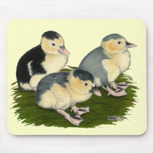 Blauwe Ekster Eendjes Muismat