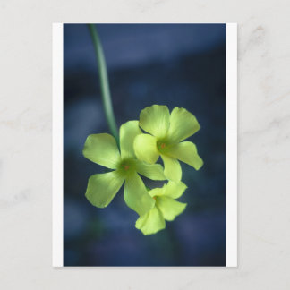 Blauwe en gele bloemen briefkaart