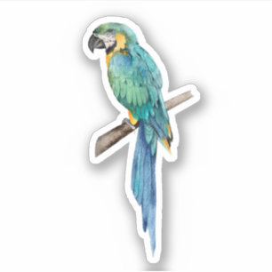 Blauwe en gele Macaw Custom-Cut Vinyl Sticker