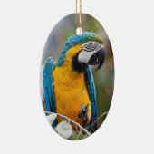 Blauwe en gele Macaw Ornament (Rechts)