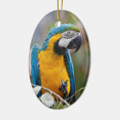Blauwe en gele Macaw Ornament (Links)