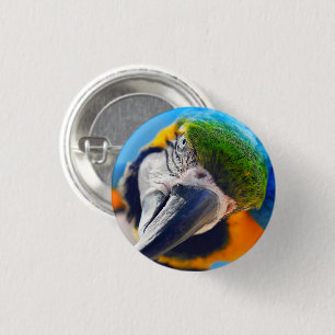 Blauwe en gele Macaw, papegaaien Ronde Button 3,2 Cm
