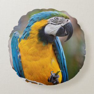 Blauwe en gele Macaw Pillow Rond Kussen