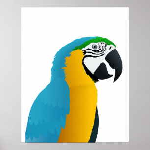 Blauwe en gele Macaw Poster