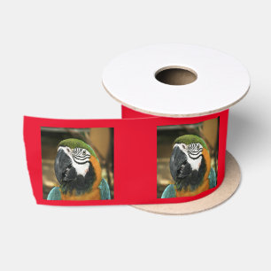 Blauwe en gele Macaw uit Amazon Lint