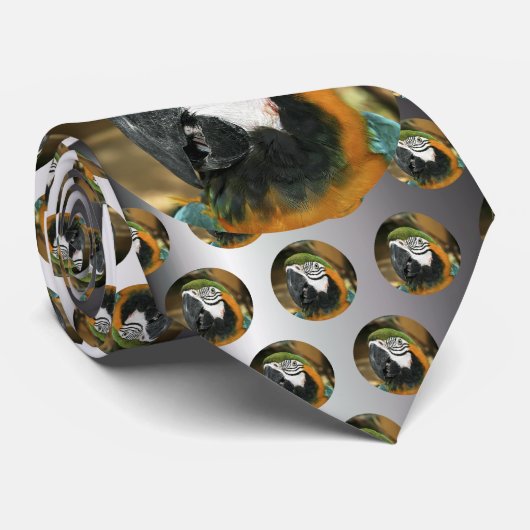 Blauwe en gele Macaw uit Amazon Stropdas (Opgerold)