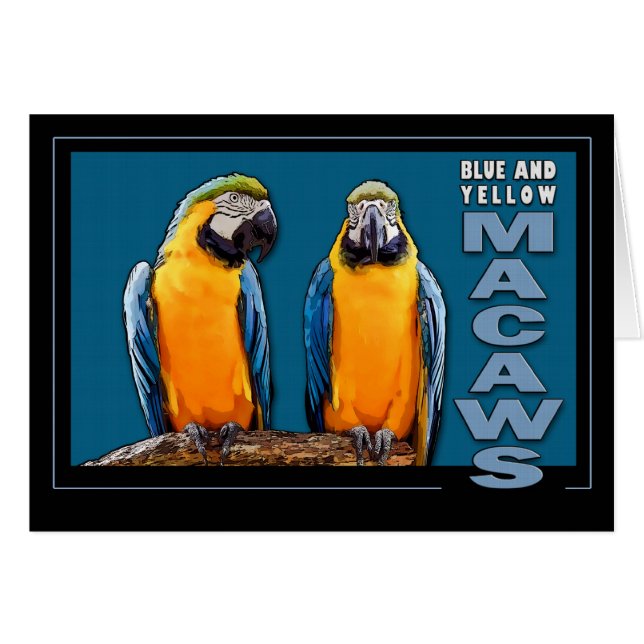 Blauwe en gele Macaws (Voorkant Horizontaal)