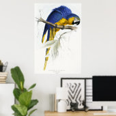 Blauwe en gele Maccaw Poster (Thuiskantoor)