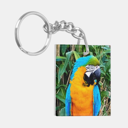 Blauwe en gele papegaai sleutelhanger (Voorkant Links)