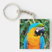 Blauwe en gele papegaai sleutelhanger (Voorkant)