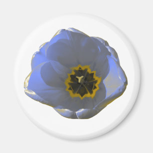 Blauwe en gele Tulp Magnet Magneet