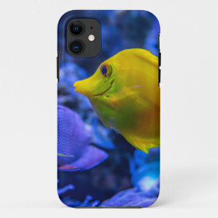 Blauwe en gele twee mooie vissen iPhone 11 hoesje
