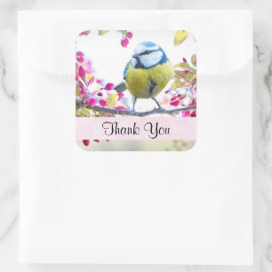  blauwe en gele vogel op een filiaal Dank u Vierkante Sticker