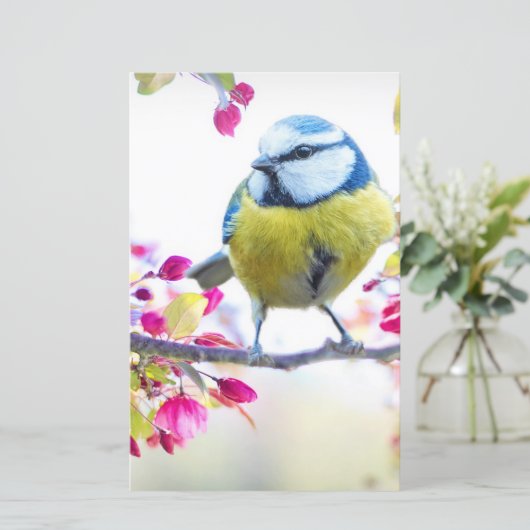 blauwe en gele vogel op een foto van de Tak (Staand voorkant)