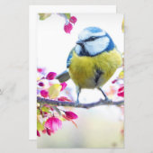  blauwe en gele vogel op een foto van de Tak (Voorkant / Achterkant)