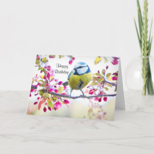  blauwe en gele vogel op een foto van de Tak Kaart