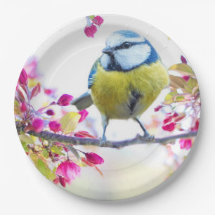blauwe en gele vogel op een foto van de Tak Papieren Bordje