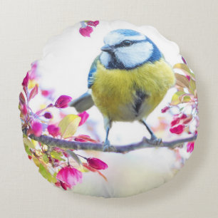 blauwe en gele vogel op een foto van de Tak Rond Kussen
