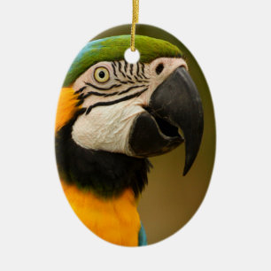 blauwe en goudmakreel keramisch ornament