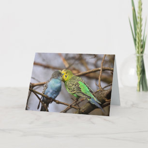 Blauwe en Groene Budgie Vogels op een Boomtak Kaart