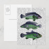 Blauwe en groene vistrio briefkaart (Voorkant / Achterkant)