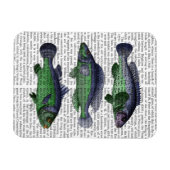 Blauwe en groene vistrio magneet (Horizontaal)