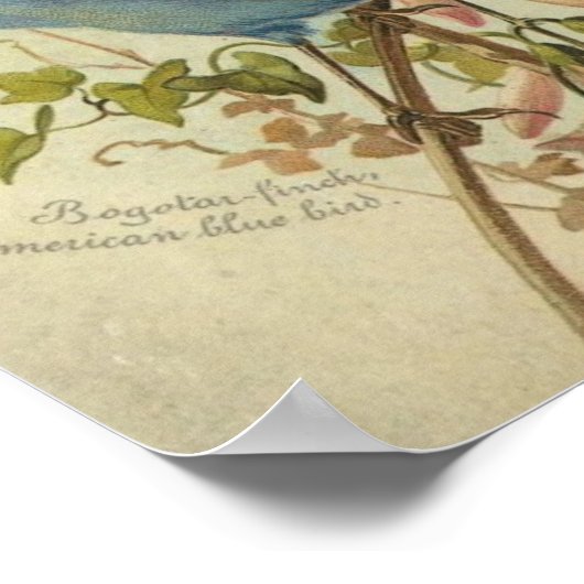  blauwe en groene vogels poster (Hoek)