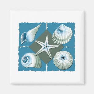 Blauwe en groene zeeschelpen magneet