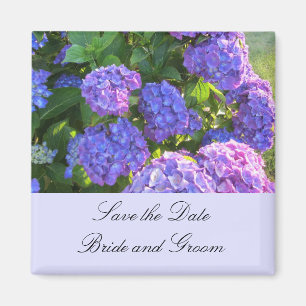 Blauwe en Paarse Hortensia's Magneet