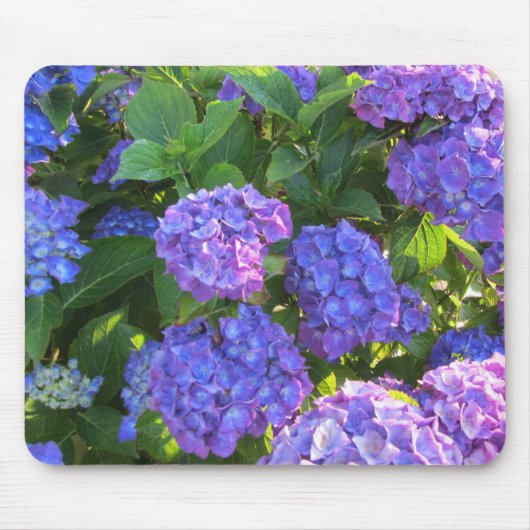 Blauwe en Paarse hydrangeas Muismat (Voorkant)
