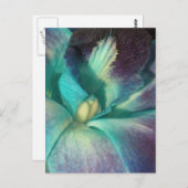 Blauwe en paarse orchidee close-up briefkaart (Voorkant / Achterkant)