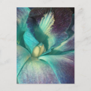 Blauwe en paarse orchidee close-up briefkaart
