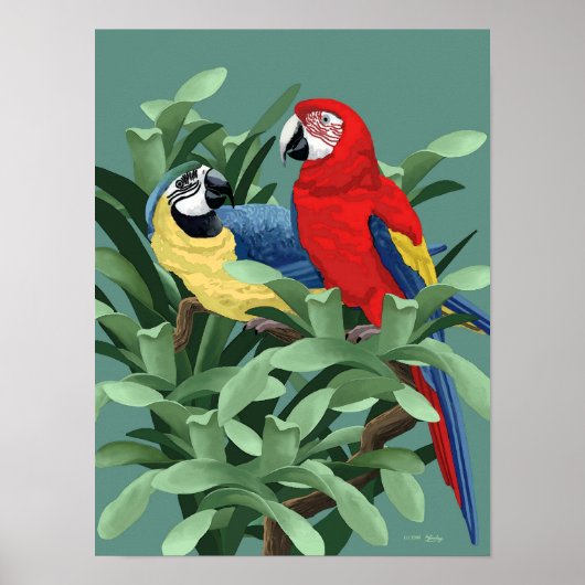 Blauwe en rode Macaw Posters en Art Prints (Voorkant)