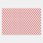 Blauwe en rode vliegtuigen van zaterdag inpakpapier vel (Voorkant 3)