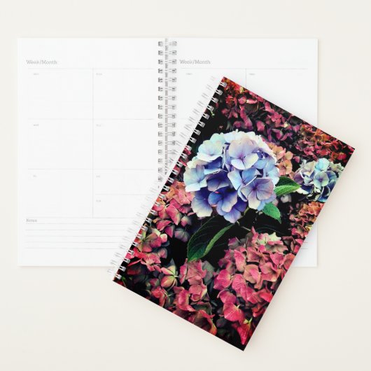 Blauwe en roze bloemen planner (Display)