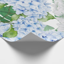 Blauwe en witte hortensia