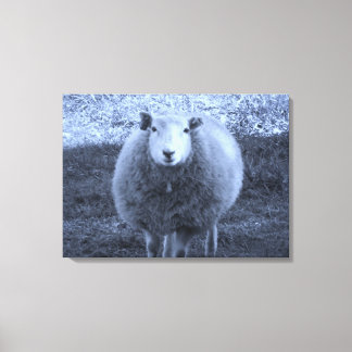 Blauwe en witte moederschapen. canvas afdruk