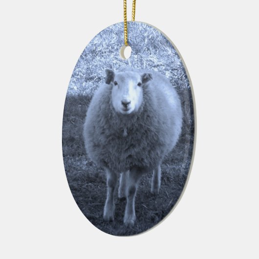 Blauwe en witte moederschapen keramisch ornament (Links)