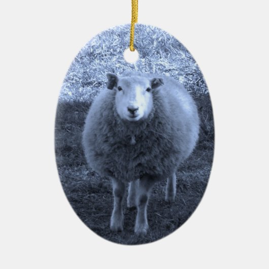 Blauwe en witte moederschapen keramisch ornament (Voorkant)