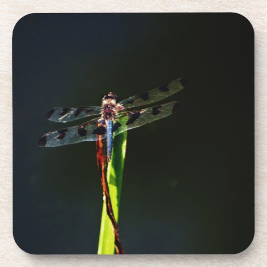 Blauwe en zwarte Dragonfly op groen en rood gras Bier Onderzetter (Voorkant)