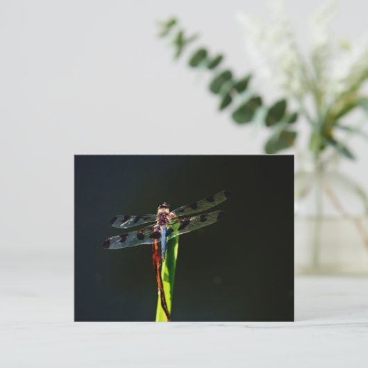 Blauwe en zwarte Dragonfly op groen en rood gras Briefkaart (Staand voorkant)