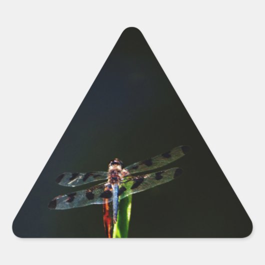 Blauwe en zwarte Dragonfly op groen en rood gras Driehoek Sticker (Voorkant)